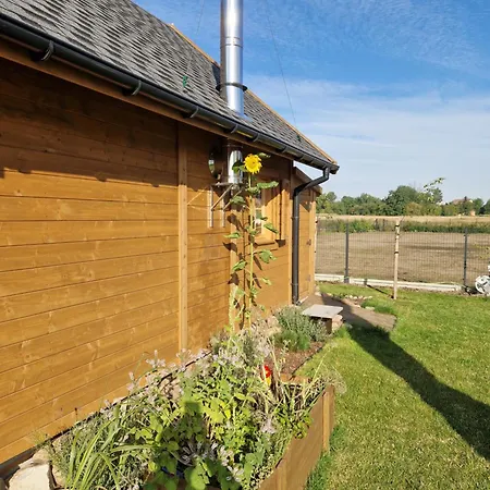 Rekreacyjny U Marcina Orman Evi *